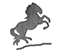 Prancing Pony Press
